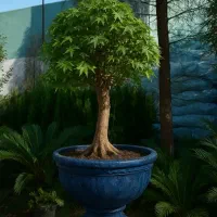 واگذاری گلخانه