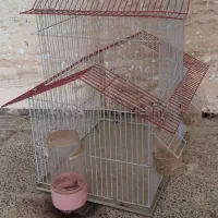 قفس پرنده