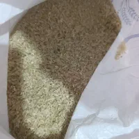 برنج درجه یک کامفیروزی به صورت خرده فروشی و عمده