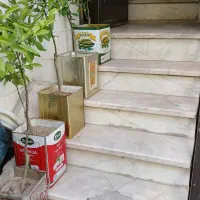 تعدادی گل و گیاه بسیار مرغوب و با کیفیت