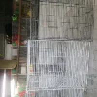 قفس پرنده|لوازم جانبی حیوانات|مشهد, عامل|دیوار