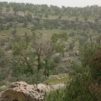 زمین-کشاورزی-بر-اتوبان-جاده-ساتیان
