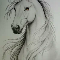 سفارش طراحی چهره