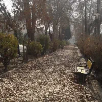 خط رند ثابت