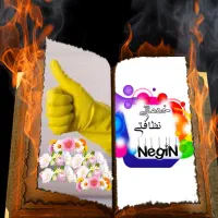 خدماتی نظافتی نگین