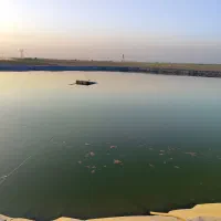 اجاره ۵۰ هکتار زمین کشاورزی چاه ۶دانگ  ورامین|اجارهٔ دفتر صنعتی، کشاورزی، تجاری|جوادآباد, |دیوار