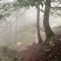 تور گروهی گلستان و گرگان