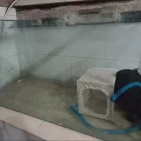 لوازم آکواریوم و خود آکواریوم