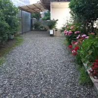 ویلا اجاره ای روزانه|اجارهٔ کوتاهمدت ویلا و باغ|املش, |دیوار