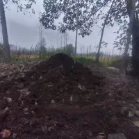 کود،چرم گاوی|خدمات باغبانی و درختکاری|صومعه‌سرا, |دیوار