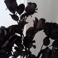 گل مصنوعی،همشون درحد اک|گل مصنوعی|ارومیه, |دیوار