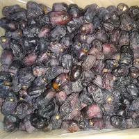 خرما فله 5 کیلویی