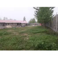 گاوداری با مجوز|فروش دفتر صنعتی، کشاورزی، تجاری|تولم شهر, |دیوار