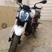 بنلی ۳۰۰ جفت درحد خشک