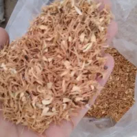 پرچمی بهار مرکبات|خوردنی و آشامیدنی|شیراز, حافظیه|دیوار