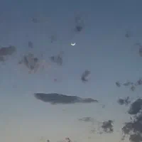 استخدام طراح ،تولیدمحتوا فضایمجازیغیر حضوری|استخدام هنری و رسانه|تهران, شمسآباد|دیوار