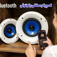 بلندگو سقفی،آمپلی فایر رومیزی و دیواری