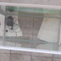 اکواریوم شرکتی شیشه خم|ماهی|شوش, |دیوار