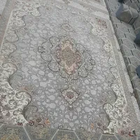 فرش بسیار شیک نو نو|فرش|اهواز, کمپلو جنوبی|دیوار