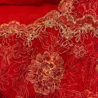 پیراهن مجلسی پر کار|لباس|مراغه, |دیوار