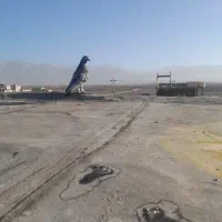 کبوتر|پرنده|نیشابور, فضل|دیوار