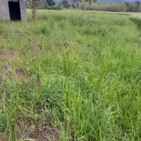 فروش‌زمین‌مسکونی