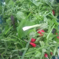 سبزیجات و محصولات خانگی ارگانیک|خوردنی و آشامیدنی|کرمان, |دیوار