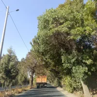 1800-متر-زمین-تجاری-ویلایی-بحر-اصلی-چهارباغ-قوهه