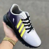 کتانی اورجینال|کیف، کفش، کمربند|رشت, کوی مهر|دیوار