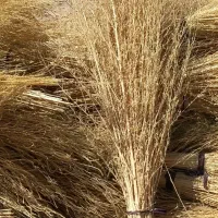 جاروروستایی|لوازم نظافت|کوهدشت, |دیوار