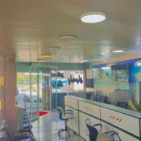 استخدام مشاورین حرفه ای و مبتدی در منطقه ۱۰|استخدام بازاریابی و فروش|تهران, بریانک|دیوار