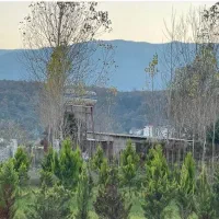 استخدام نیروی خدماتی جهت املاک ونوش