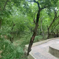 دماوند-چشمهاعلا-تک-برگ-سند-644-متر