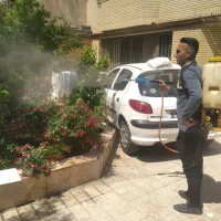 انجام کلیه کارهای باغبانی وسم پاشی و تیلرزدن|خدمات باغبانی و درختکاری|مشهد, توس (بلوار توس)|دیوار