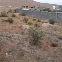 باغ شهری|فروش دفتر صنعتی، کشاورزی، تجاری|شیراز, داریون|دیوار