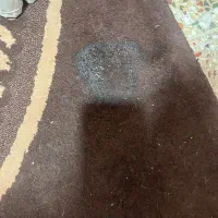 گلیم فرش جفت ۶متری|گلیم، جاجیم، گبه|نجف‌آباد, یزدانشهر|دیوار