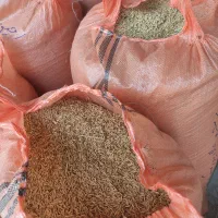 کار در کارخانه برنجکوبی