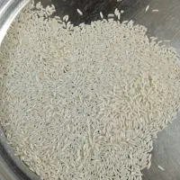 برنج طارم هاشمی