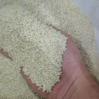 برنج نیمدانه ریز و لاشه معطر ممان میانه|خوردنی و آشامیدنی|زنجان, |دیوار