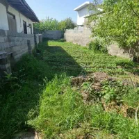 زمین ۱۹۴ متری سند تک‌برگ بهنمیر