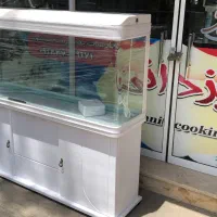 ماهی اکواریوم فیلتر پمپ اروانا دیسکس تجهیزات|ماهی|اصفهان, سرچشمه|دیوار