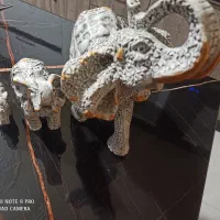 دکوری|صنایع دستی و سایر لوازم تزئینی|کرج, شهرک شهرداری|دیوار