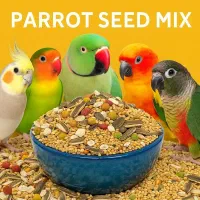 غذای عروس هلندی قناری پرندگان - دارو و مکمل پرنده