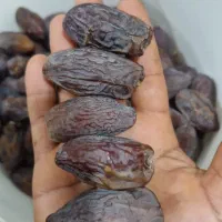 خرمای مجول