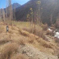 زمین فروشی۱۰۰۰متری داخل بافت