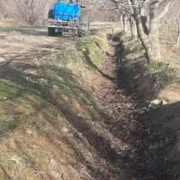 سمپاشی باغات پذیرفته می‌شود