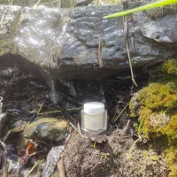 ژل رویال درجه یک ایرانی