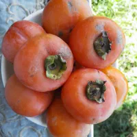 خرمالو ، انجیر ، اربه ، انار ترش ، انار شیرین