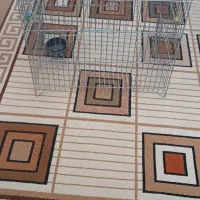 قفس|لوازم جانبی حیوانات|شاهینشهر, گرگاب|دیوار