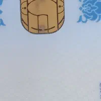 کارت ملی گم شده